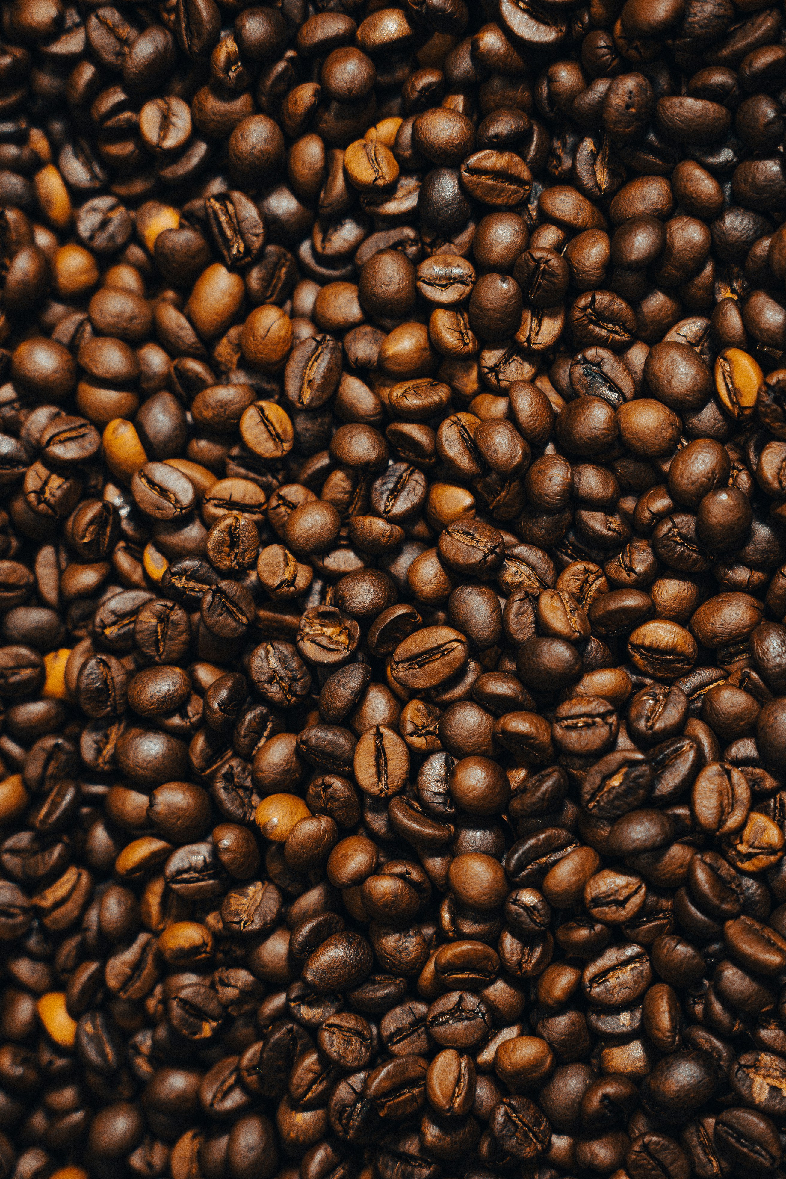 Photo of coffee beans